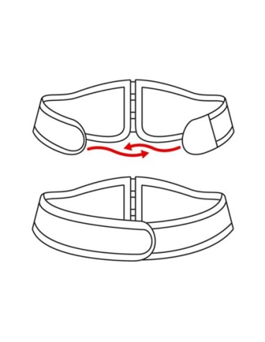 CAV_2