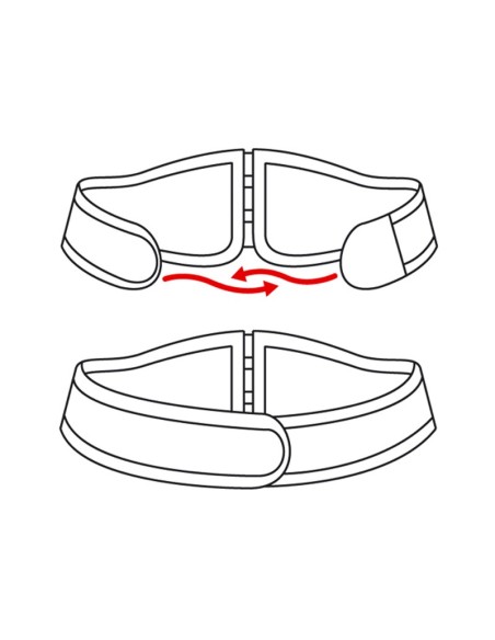 CAV_2