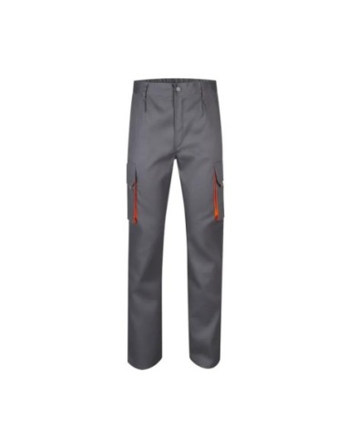 PANT103004_COLBASE313